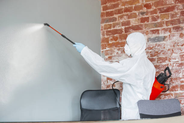 Trusted Madras, OR Mold Removal Experts