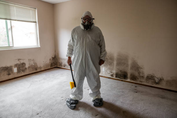 Mold Remediation for Rental Properties in Madras, OR